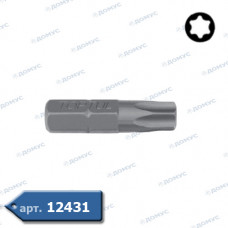 Біта TOPTUL TORX 10 x 30мм T60 (Імпорт)