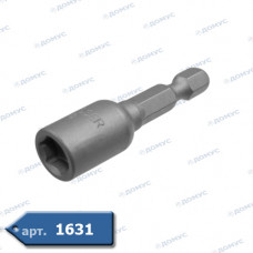 Біта HAISSER  8мм для покрівельних саморізів (SW8x45мм) (18040) (Імпорт)